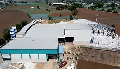 Lite & Greens Products